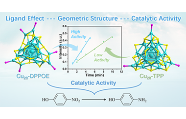 Ligand effects on geometric structures and catalytic activities of atomically precise copper nanoclusters 2024.100411